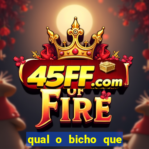 qual o bicho que vai dar hoje